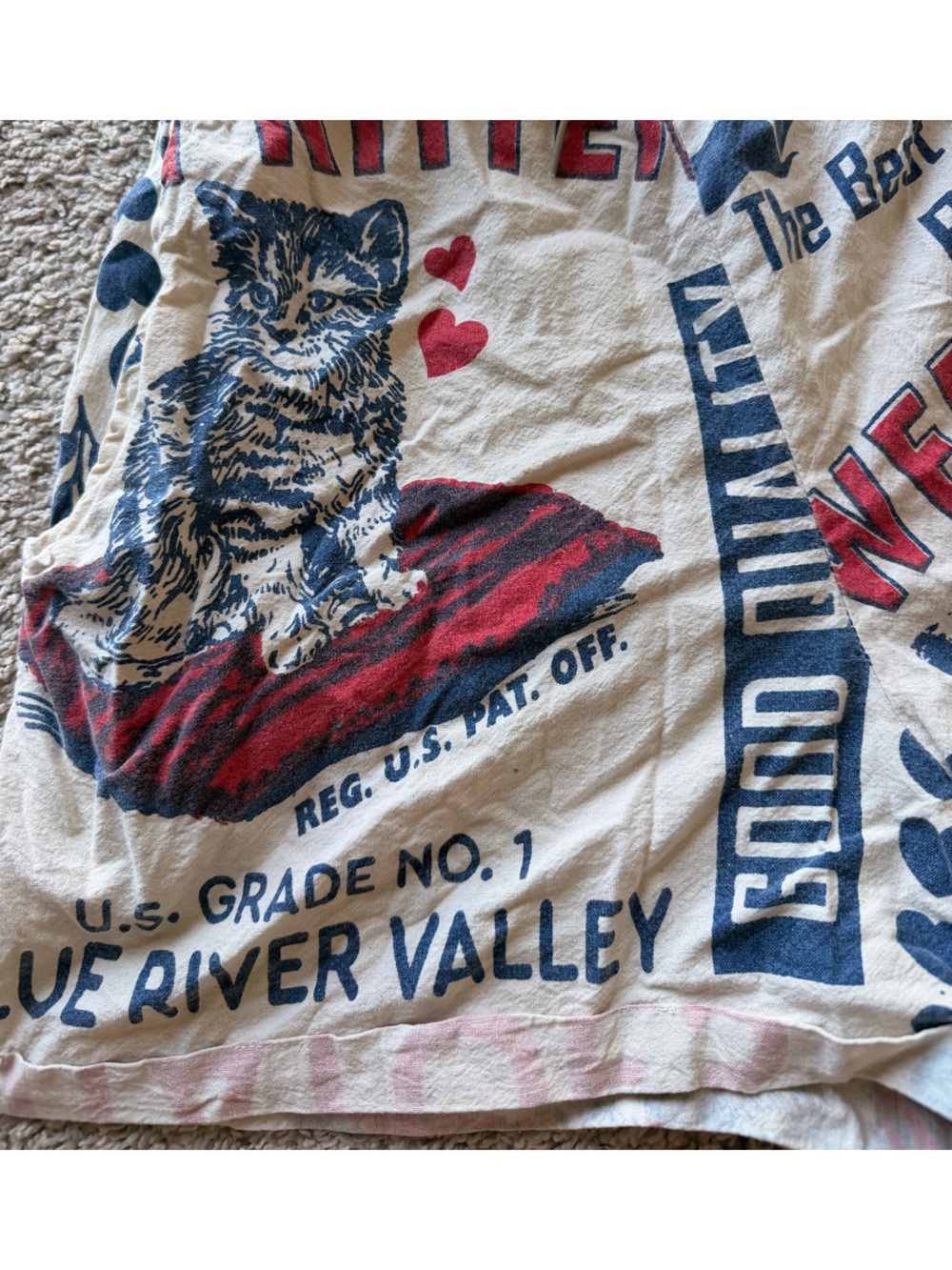 Sweet Kitten Graphic womens Shorts - Cream with Red & Blue Print - Picture 3 of 10
